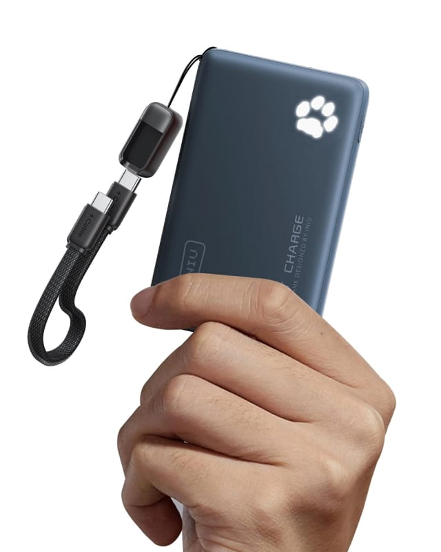INIU Portable Charger 10000mAh 45W PD Power Bank Blue